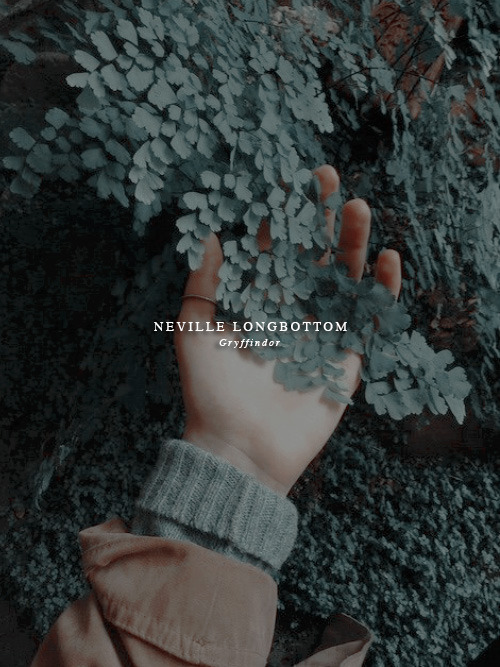 siruisblack:  fandom fam editsneville longbottom for @longbottomfranks I’m worth twelve of you