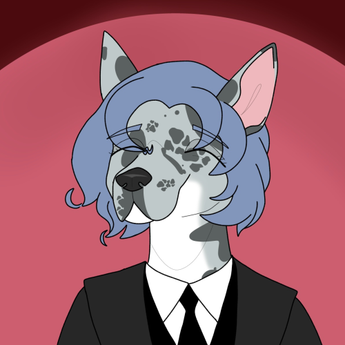 Ok Ok I Have These Versions Of Kookie As Actual Irl Animals. Hope You Guys Enjoy The Furrification