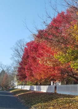 Autumn in Upstate New York, Sunday drives. 