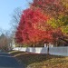 Autumn in Upstate New York, Sunday drives. 