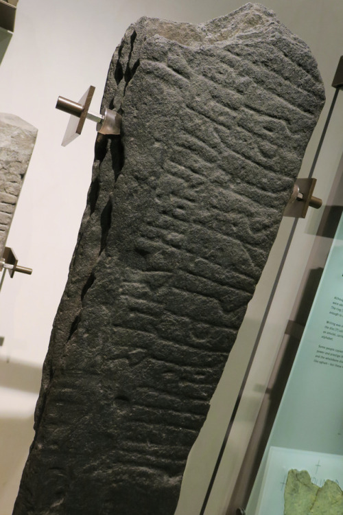 Runic and Pictorial Memorial Stones, The National Museum of Scotland, 24.2.17.