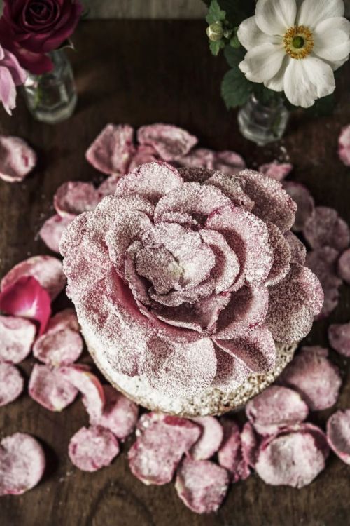 confectionerybliss:Rosewater Cardamom And Orange Genoese Cake | Twigg Studios