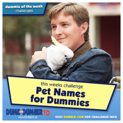 dumbtomovie:  I know! I shall call you, Butthole! Did you give your pet a dumb name? Send us a video and show off your dumb pet to be this weeks dummie!#DummieOfTheWeek #DumbTo 