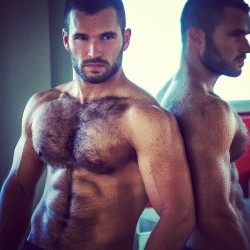 Muscle And Fur