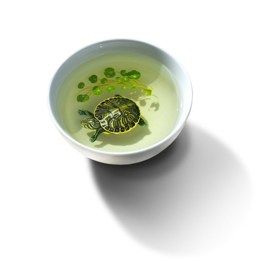 paintvrlife:  by kenglye  please do not remove credit.