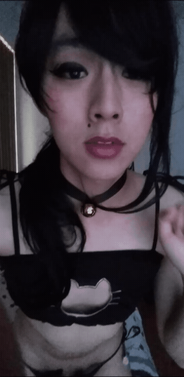 handcrankedsweetcream: Pet me MEEOWWWW （（（・×・；）））