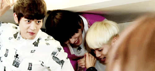 bangsterwife:meet SHINee the idiots