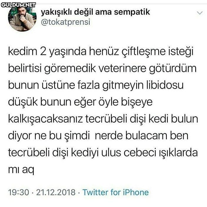 kedim 2 yaşinda henüz...