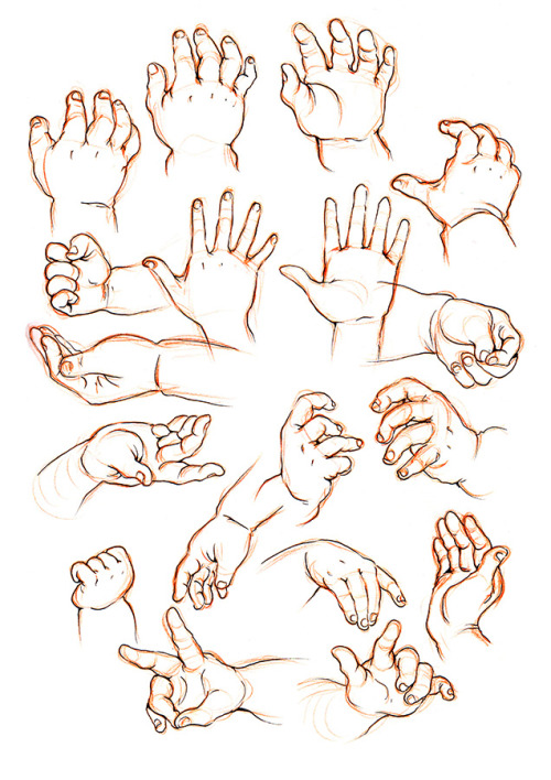 miyuli:Hand practice! My lecturer said my hands look all the same so I tried to put in some characte
