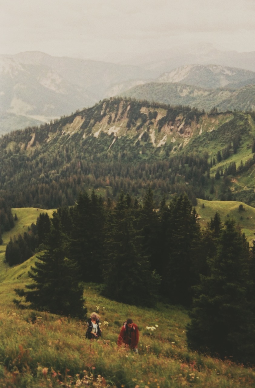 oh-haroo:  Follow me for more vertical nature and landscape!