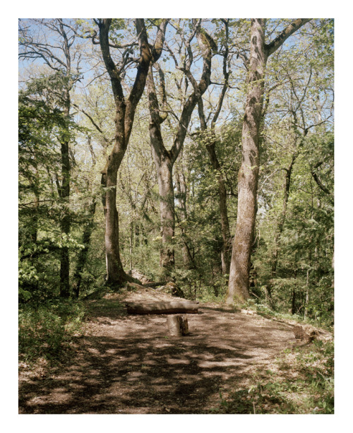 Chemin des rois, Montagne de la Sainte-Baume, avril 2016.