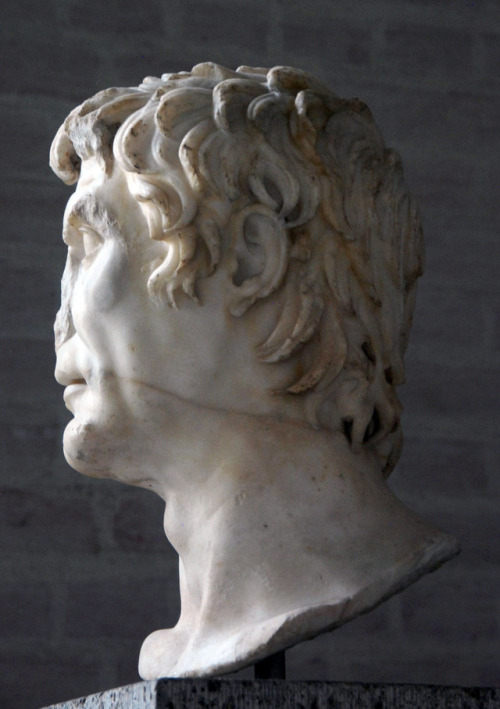 myglyptothek:Portrait of so called Sulla. From Palazzo Crescenzi in Rome. C. 30 BC. Marble. Glyptoth