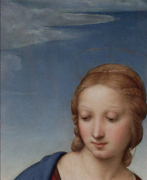 detailsofpaintings:Raphael, Madonna del Cardellino (detail)1505-1506