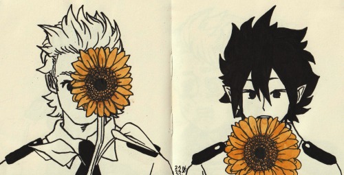 Sunflowers