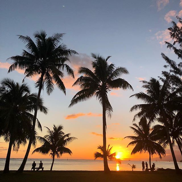 salsurfista:  s a l s u r f i s t a 🌊🌴 