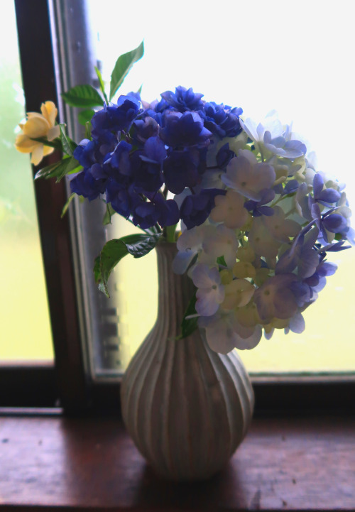 June Ikebana - Hydrengeas and Momiji. For the whole month of June our garden was bursting with color