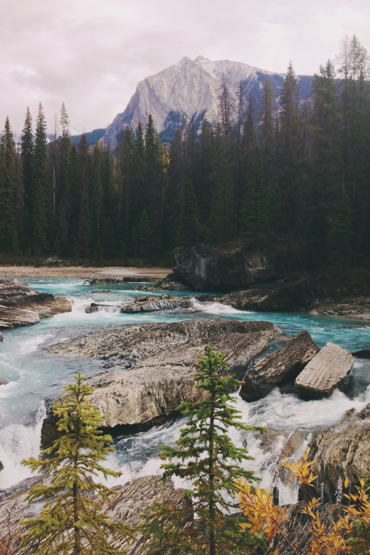 mstrkrftz:   Kicking Horse River, Yoho National Park, Canada | Julie Timis