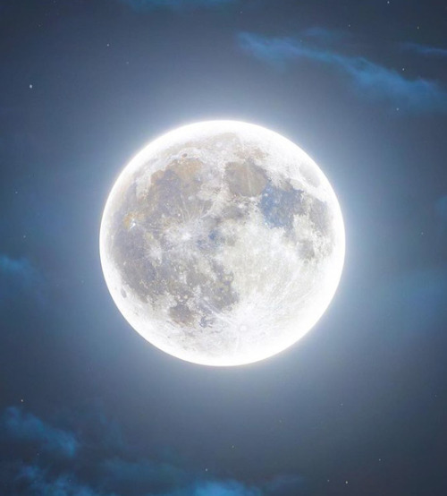 Full Hunter's Moon 2023 L Rami Ammoun