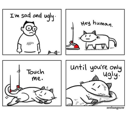 xibang:The kindness of cats. If you live in singapore, check out @savingthesiameses they are saving 