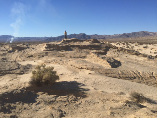 firepowerwalkwithme: Patrolling the Mojave almost makes you wish for a nuclear winter