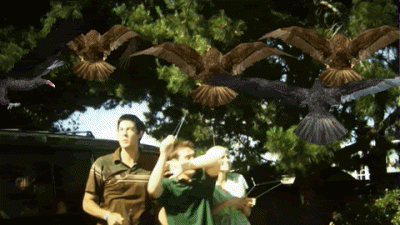 lychgate:  its sad because it looks like some dumb gif edited for some shits and