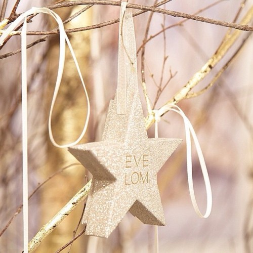 Festive and fun; this limited edition #EveLom kiss mix star is the perfect stocking filler that doub