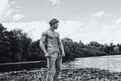 Adonis Files