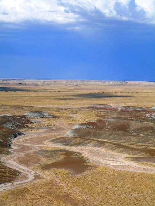 rabbitcruiser:The Petrified Forest National Park is established in Arizona on December 9, 1962.I use