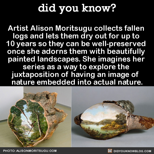 did-you-kno:  Artist Alison Moritsugu collects fallen  logs and lets them dry out for up to  10 years so they can be well-preserved  once she adorns them with beautifully  painted landscapes. She imagines her  series as a way to explore the  juxtaposition