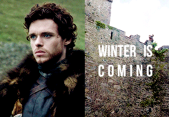 arthurdarvvill:  game of thrones meme: five houses [2/5]  ➤ House Stark  When