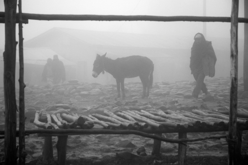 Michael Tsegaye : Ankober, Ethiopia 