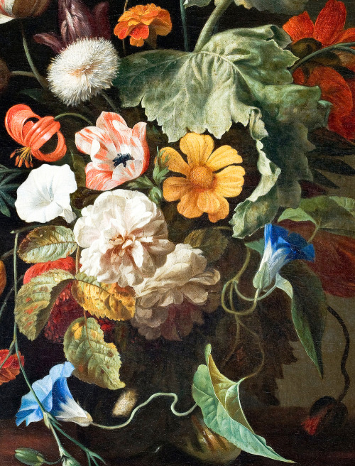 jaded-mandarin:  Rachel Ruysch. Detail from Still Life With Flowers, 18th Century.
