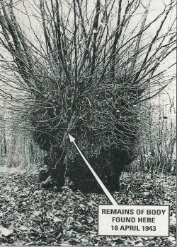 Who put Bella in the witch elm? In 1943 the remains of a murdered woman were found, stuffed into a hollow tree. The graffiti &ldquo;who put Bella in the witch elm?&rdquo; has been appearing in the area ever since. The question has never been answered,