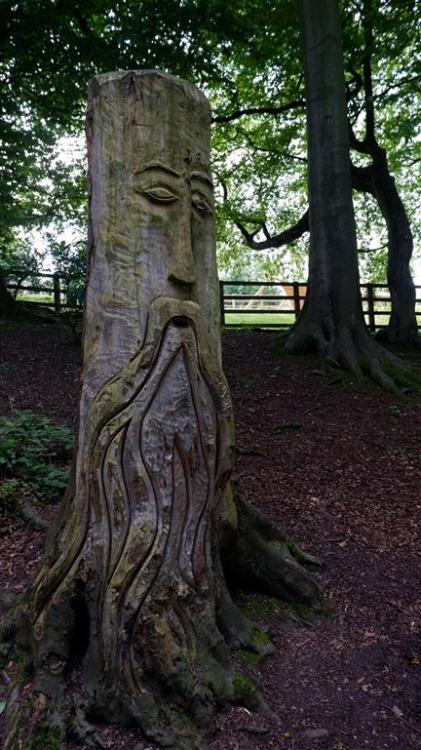 A Wood Carving at Mother Shipton’s Cave, Knaresborough, North Yorkshire, England. 