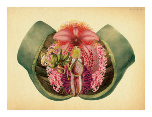 lilit69: Botanical Surrealism - Lady Garden - Vintage Erotica Anatomical Erotic Vintage Botanical Bi