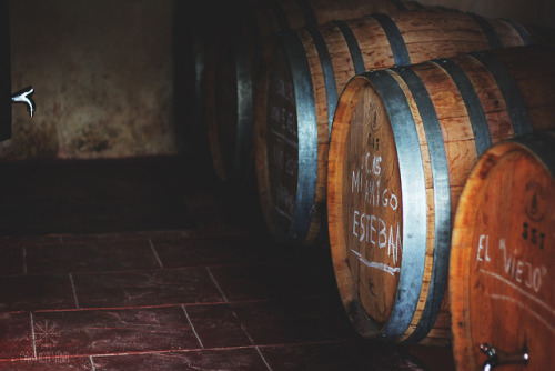 wine cellar