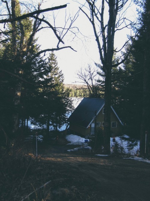 Cabin in the woods, muskoka.