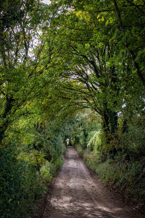 yourstrulymagickghost:spiritusloci: oxfordbybicycle: Oxford by bicycle.10 October, 2020. Oxford to C