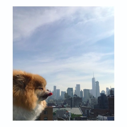 Sometimes the city looks so gorgeous I just want to lick it…