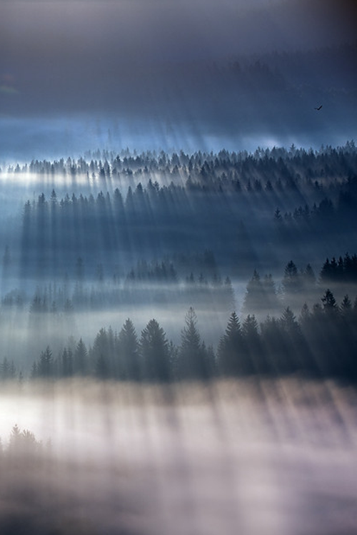 plasmatics:  Explosion of light by Marcin Sobas (Website) 