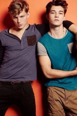 stupid boys