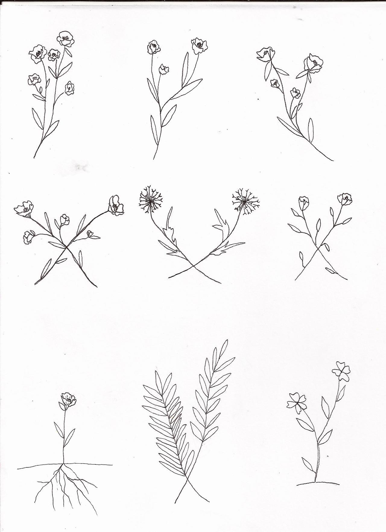 refiningfire:  more floral !!