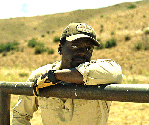 DANIEL KALUUYA As OJ HAYWOODNOPE (2022) Dir. Jordan Peele