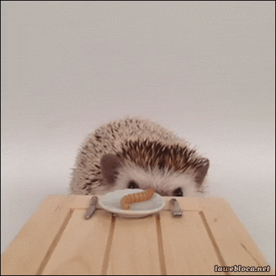 Cosas de Inu