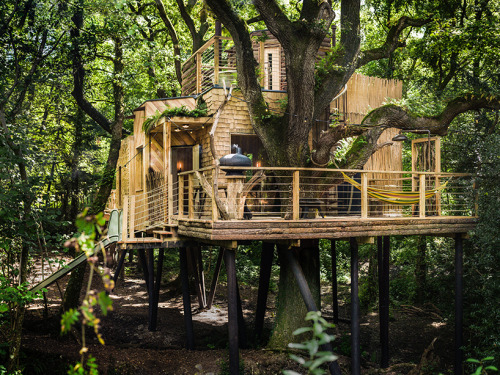 thedesigndome: Luxury Treehouse Hosts Modern Facilities Designed For Comfort The Woodman’s Tre