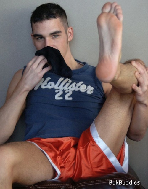 Lordguy Socks