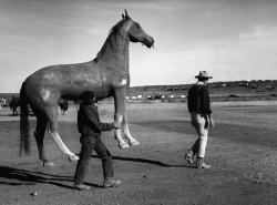John Wayne’s Horse.