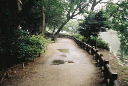 japanesecontent:  Inokashira Park (by ulanalee) 