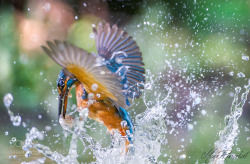 morethanphotography:  Water games by MaxRinaldi