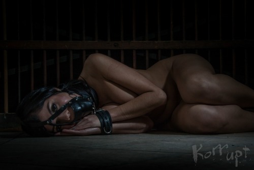 boundbabesblr:  More BDSM Fetish HERE